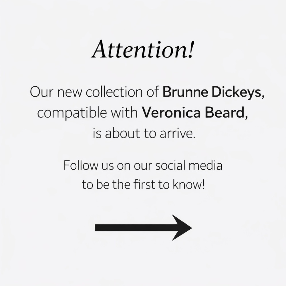 NWT Brunne Button Down Shirt DICKEY Compatible with Veronica Beard Blazer 00-14 - Picture 9 of 11
